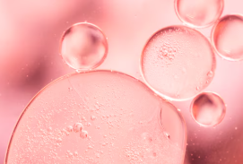 Hydrolyzed Collagen