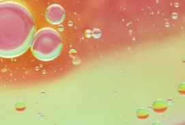Snow Mushroom Extract
