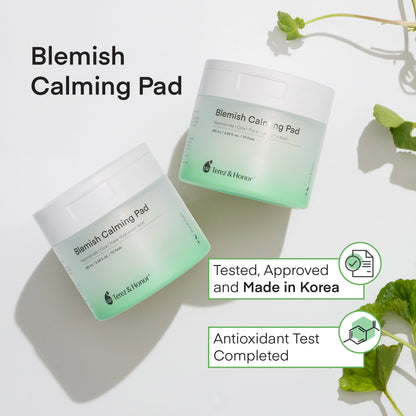 Promotional image of Terez &amp; Honor Blemish Calming Pads highlighting the key natural ingredients: Niacinamide, Cica, and Triple Hyaluronic Acid. The product jar is displayed with visual annotations pointing to samples of each ingredient.